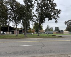Outside fairgrounds Silverton road looking in